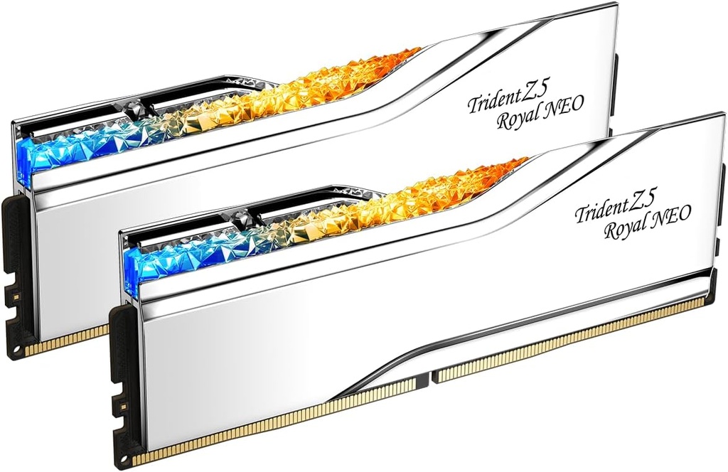 RAM Gskill D5 6000 48GB C28 TZ5 Royal Neo K2 - F5-6000J2836F24GX2-TR5NS