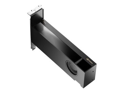 NVIDIA - graphics card - NVIDIA RTX 2000 Ada - 16 GB - VCNRTX2000ADA-PB