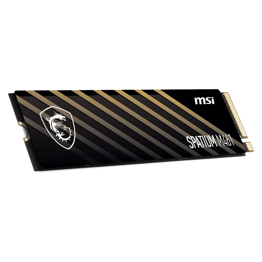MSI Gen4 Spatium M461 4.0 5100 3200 1TB M.2 - S78-440L1D0-P83