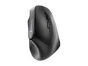 CHERRY MW 4500 - vertical mouse - 2.4 GHz - black - JW-4500