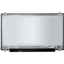 17.3-Inch - HD+ (1600x900) - 30 Pin 