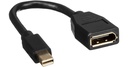 Mini DisplayPort adapter (10cm)